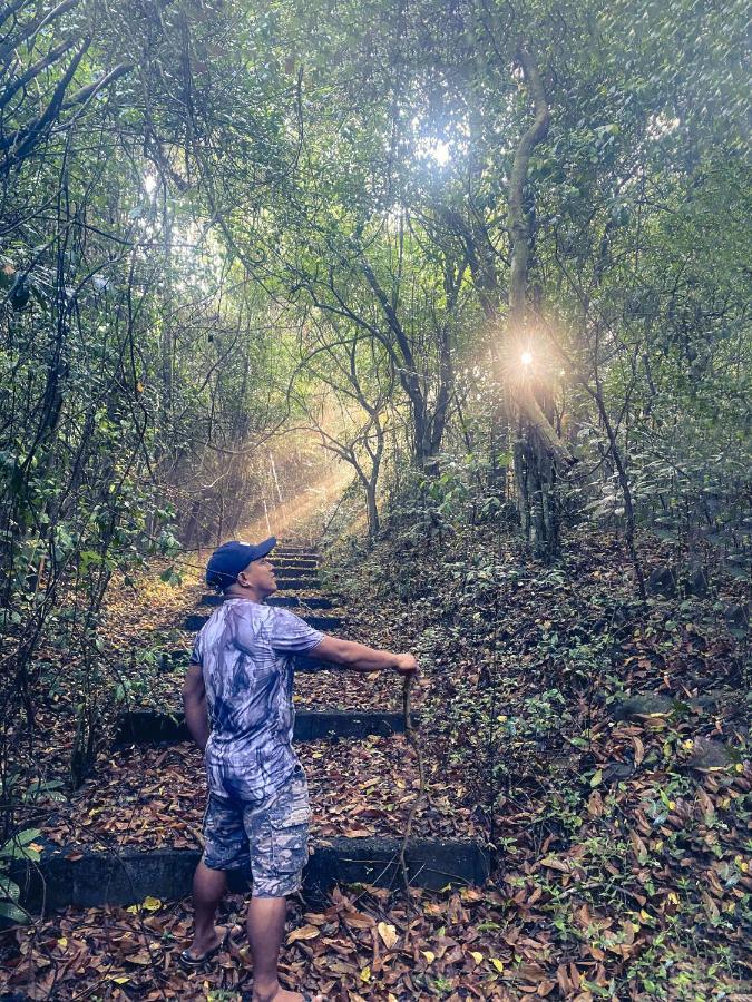 Momarco Forest Cove Tanay Bagian luar foto