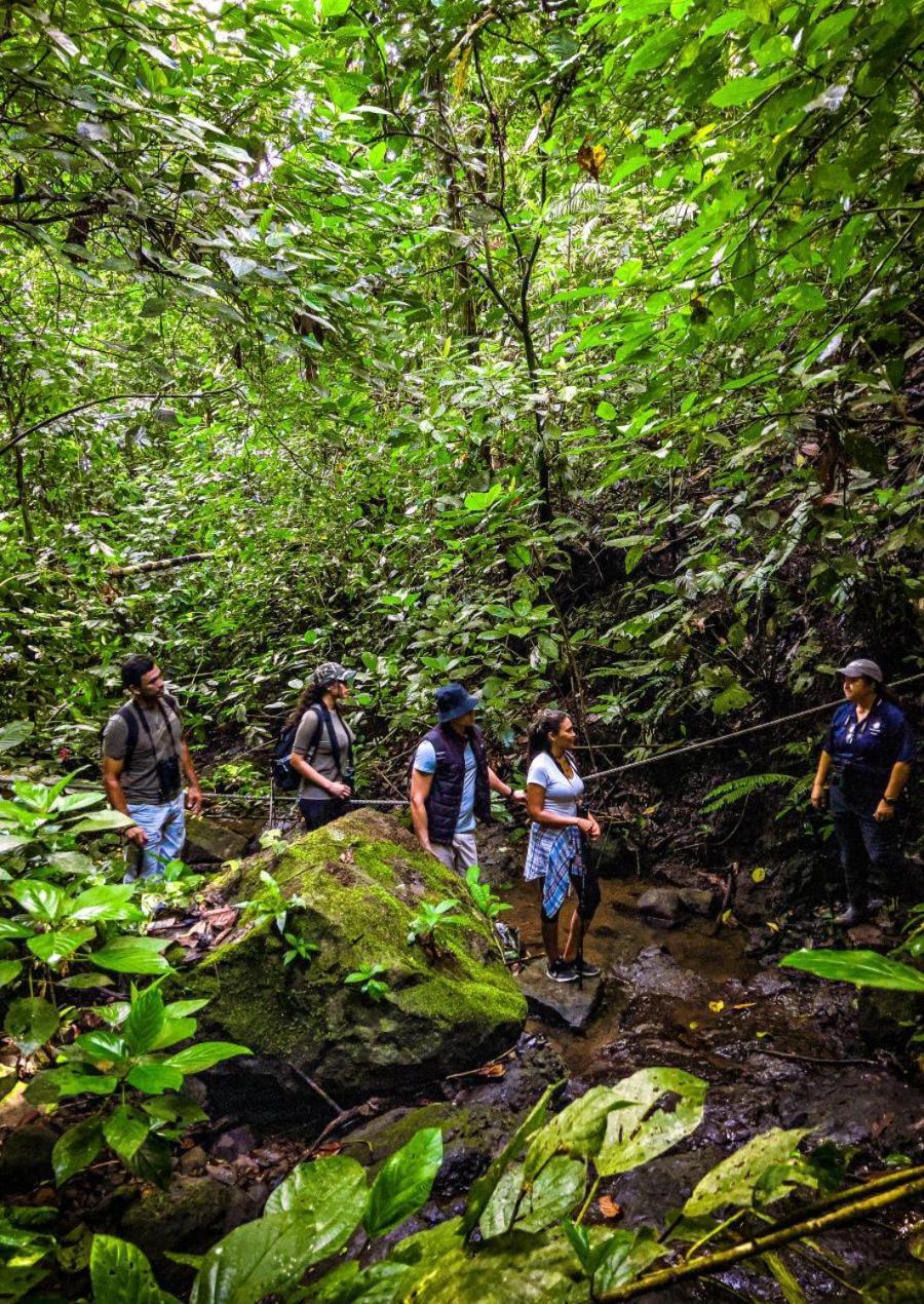 Momarco Forest Cove Tanay Bagian luar foto