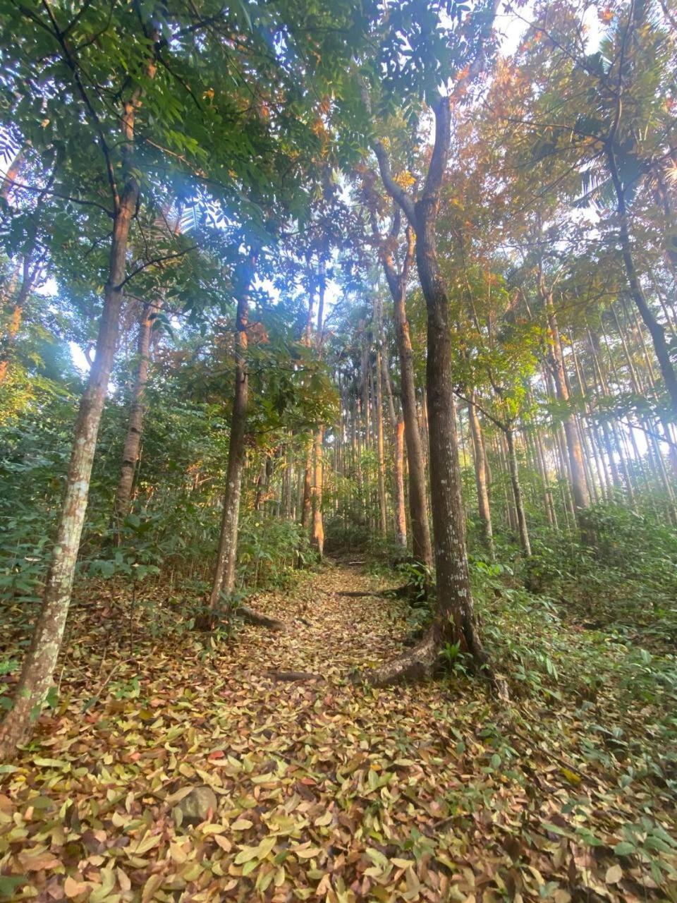 Momarco Forest Cove Tanay Bagian luar foto